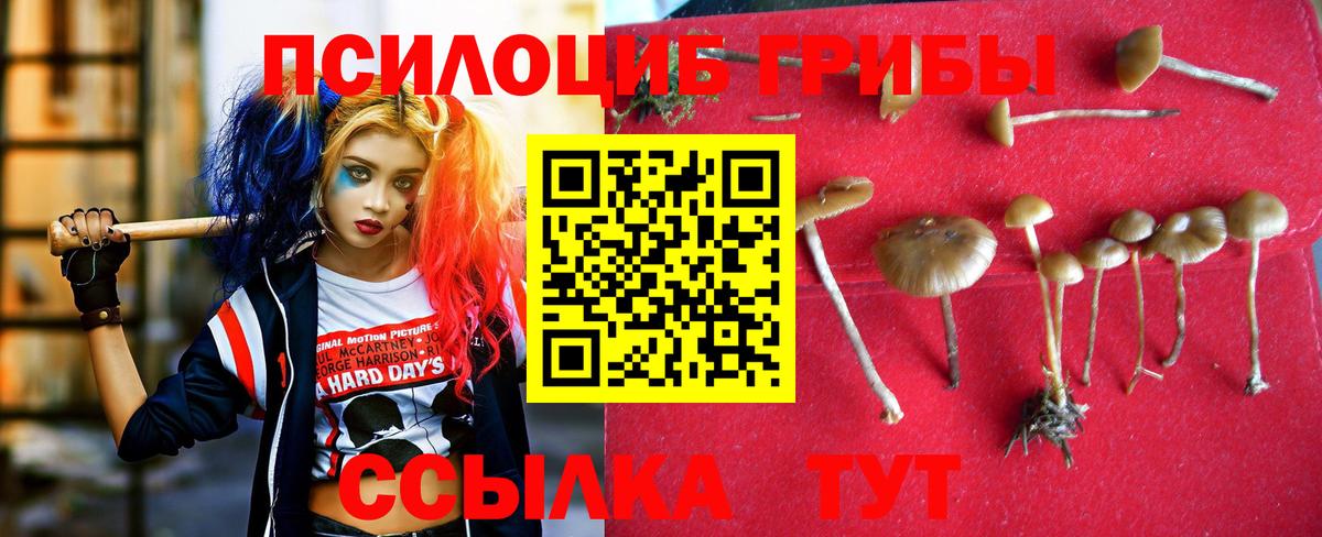 Воскресенск  Псилоцибиновые грибы GOLDEN TEACHER  наркошоп  Вход с VPN 